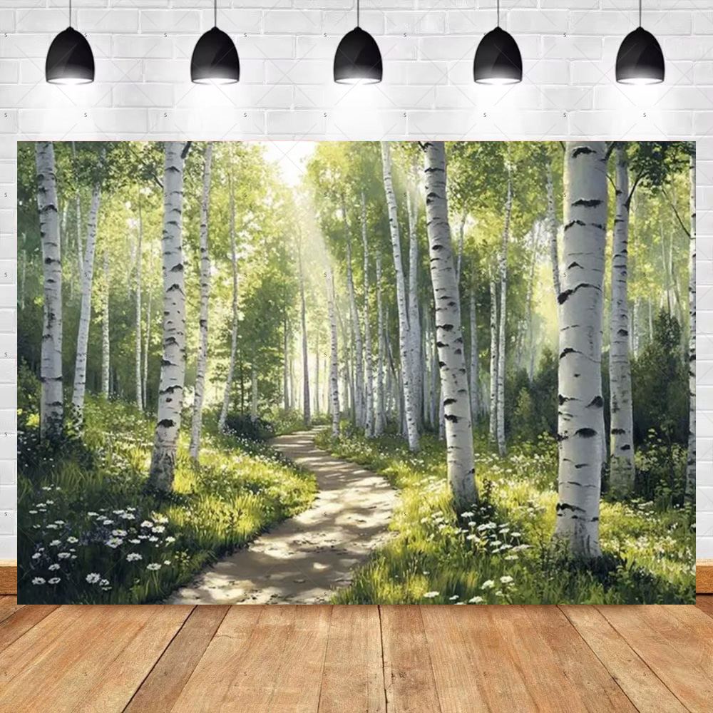 Sunny Trail Berkenboom Bos Ach - Photography Composition recensie en prijs